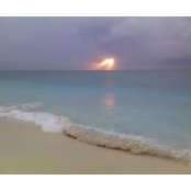 Diana Lerman's photo