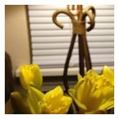 Danielle McCullough's photo