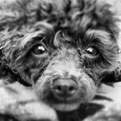 Holly Clark's photo