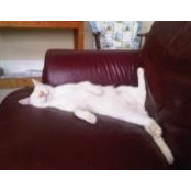 Terrie B.'s photo