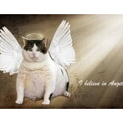 Sandee Benike's photo