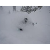Nick Healey's photo