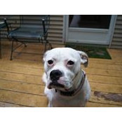 Lynne LaRoche's photo