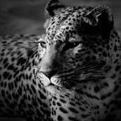 Miya Morgan's photo