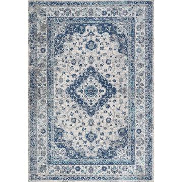 Indhira Ornate Medallion Persian Blue/Gray 9'x12' Area Rug