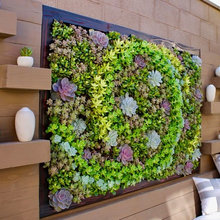 Outdoor Wall