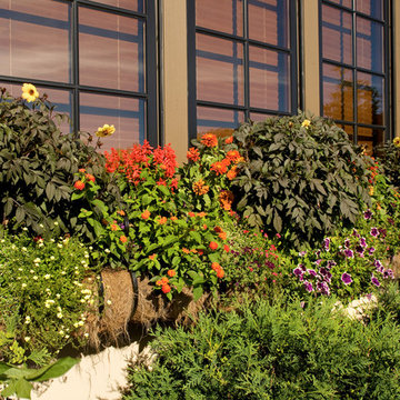 Window Box Close-Up