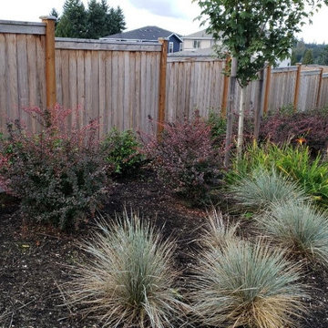 NEW LANDSCAPE DESIGN