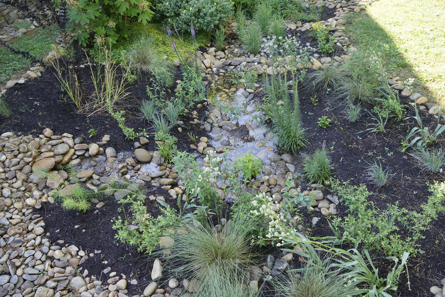French Broad Rain Garden