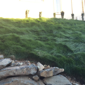 El Dorado Hills - Serrano Complete Landscape