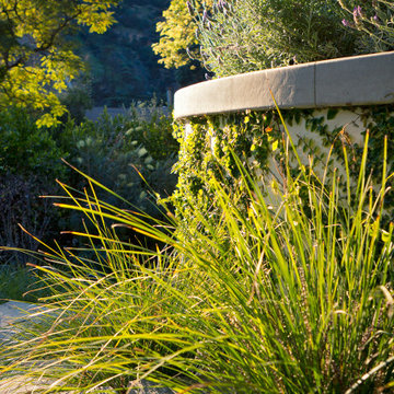 Mt Olympus Stylish Urban Oasis