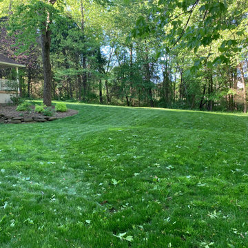 Before and after, seeding