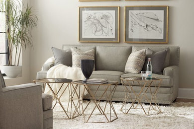Example of a living room design in Detroit