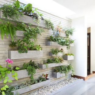 トロントの中サイズの片開きドアコンテンポラリースタイルのおしゃれな玄関ホール (白い壁、オレンジのドア、グレーの床) の写真