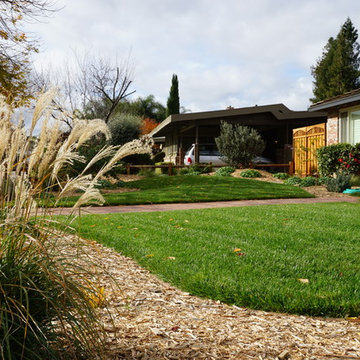 San Jose Ranch Renovation