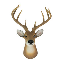 Deer Heads
