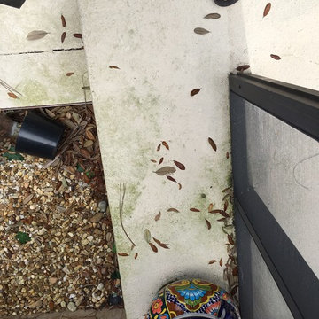 Stained Concrete: Driveway, Pool Deck, Patio, Sidewalks.