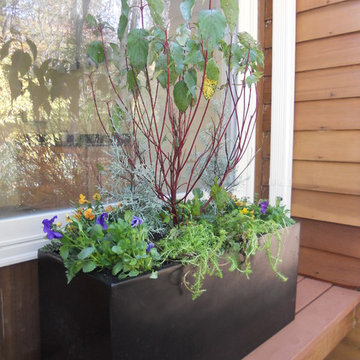 Winter container