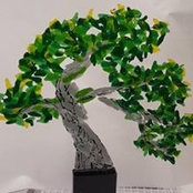 Amy Wacker's photo