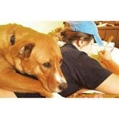 Madison Cole's photo
