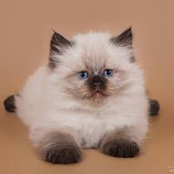 Татьяна Рыбалко's photo