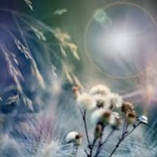 Photo de Kris Neuhaus