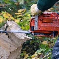 Only ~ $44 ~ Tree Removal Edmonton - Stump Removal