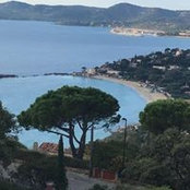 San Driine's photo