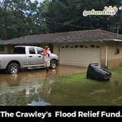 David Crawley's photo