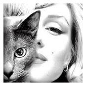 Nanou Vidal's photo