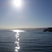 Dene Lynchさんの写真