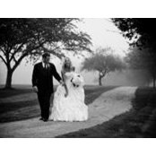 Annie DeSarno Barham's photo