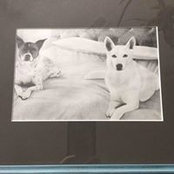 Michelle Layton's photo