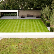 Living Roof