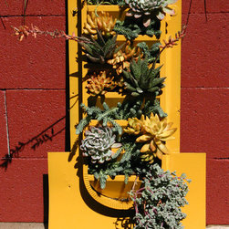 Succulent Wall for Del Mar Home Garden Show 2012 - Outdoor Pots And Planters