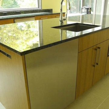 Bamboo (Plyboo) Cabinets