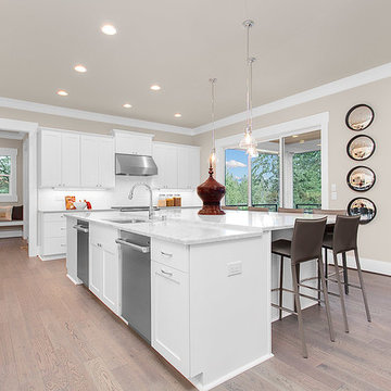 Greater Seattle Area | San Tropez Basement Kitchen