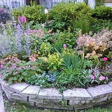 Front Beds