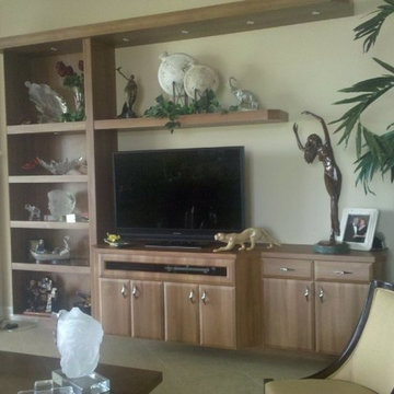 Wall Unit