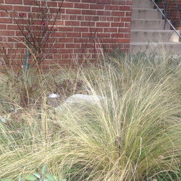 Herb garden