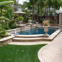 Backyard Pool/Landscaping