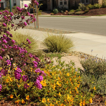 Arresting Dunes - Coastal Gem Garden