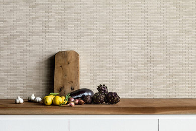 Example of a minimalist kitchen design in New York