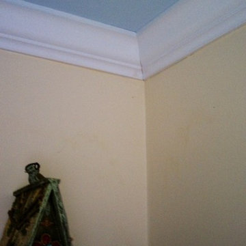 Paint Consultation Colors
