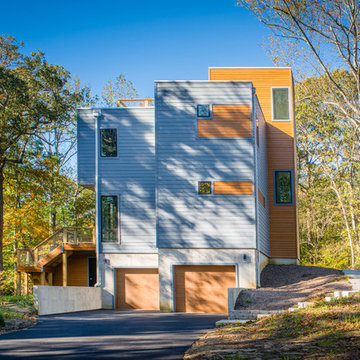 forest house