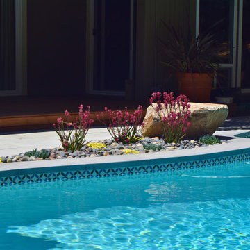 Backyard Pool Deck in San Rafael