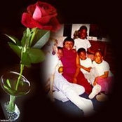 Foto von Sharon Fallen
