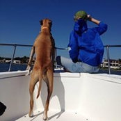 Suzie Newby's photo