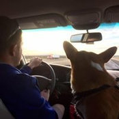 Jeremy Redfern's photo