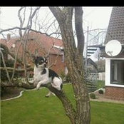 Foto von Vera Dupre